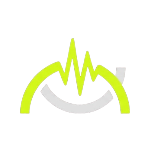 Volley logo